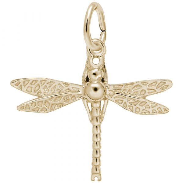 3693 - 241048 - Dragonfly Charm